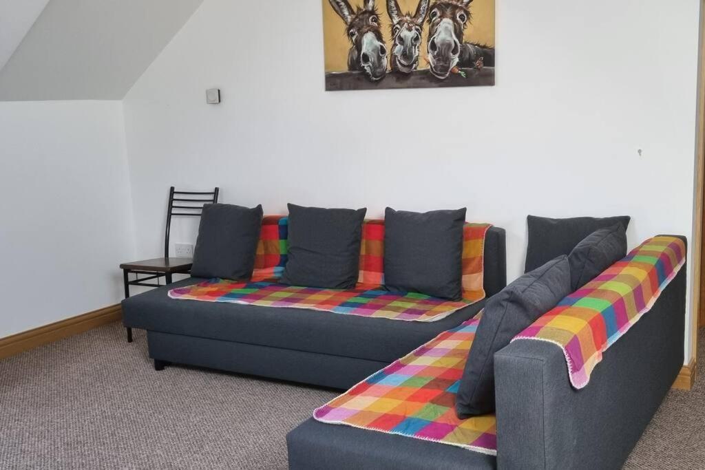 Grace'S Place With Hot Tub & Games Room Carrickfergus Eksteriør bilde